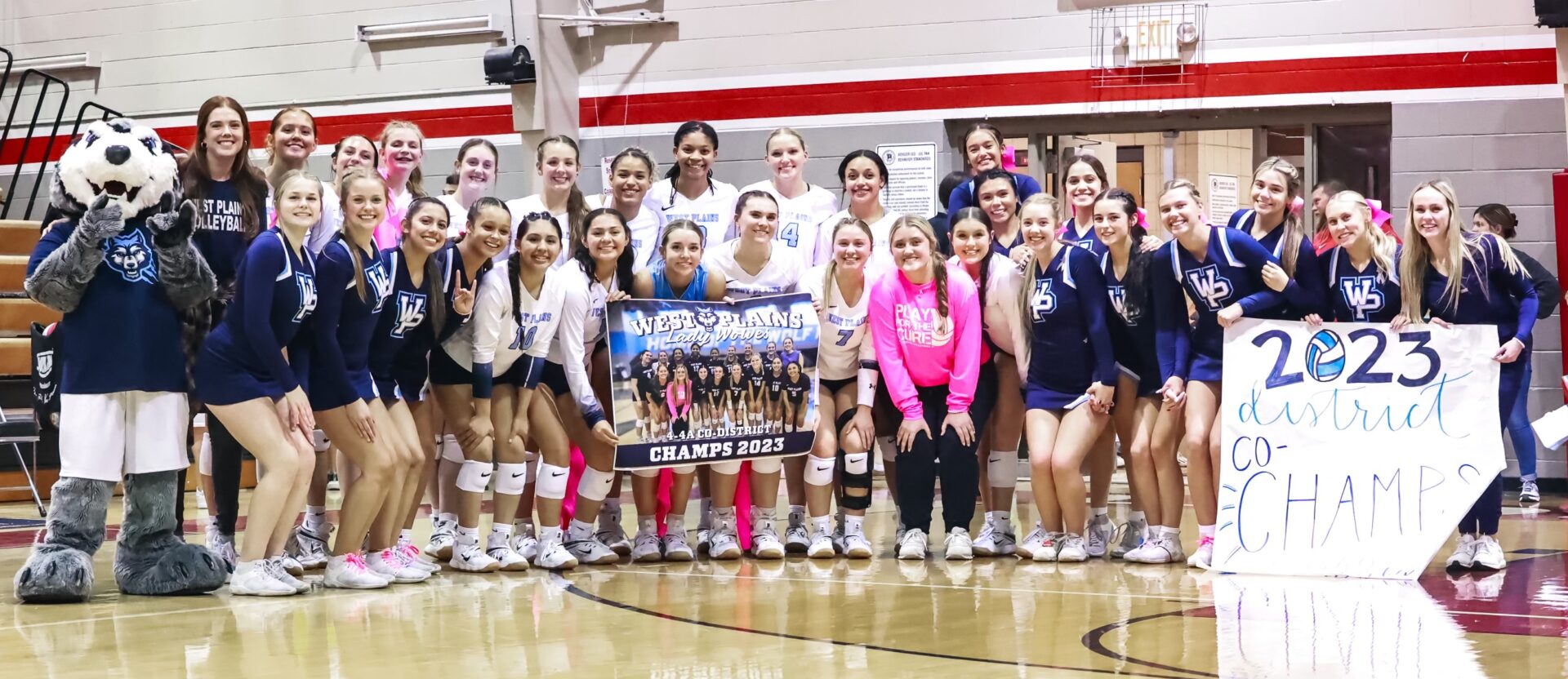 Amarilloarea High School Volleyball final regular season standings