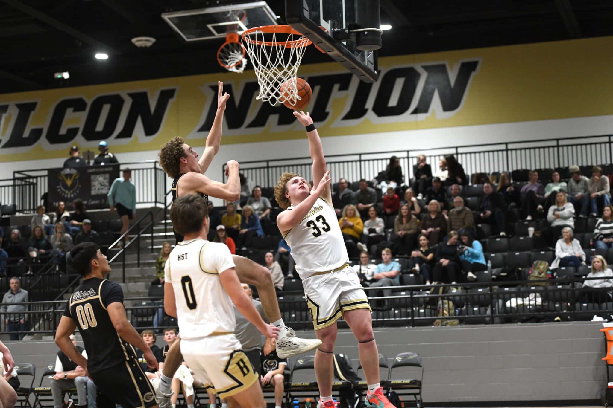 ALAN HALE | Press Pass Sports