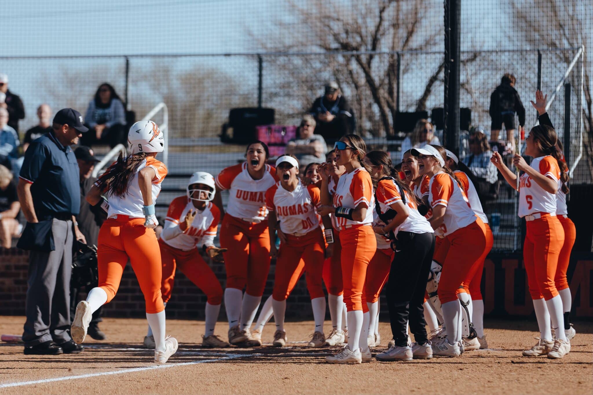 Texas Panhandle high school softball district roundup