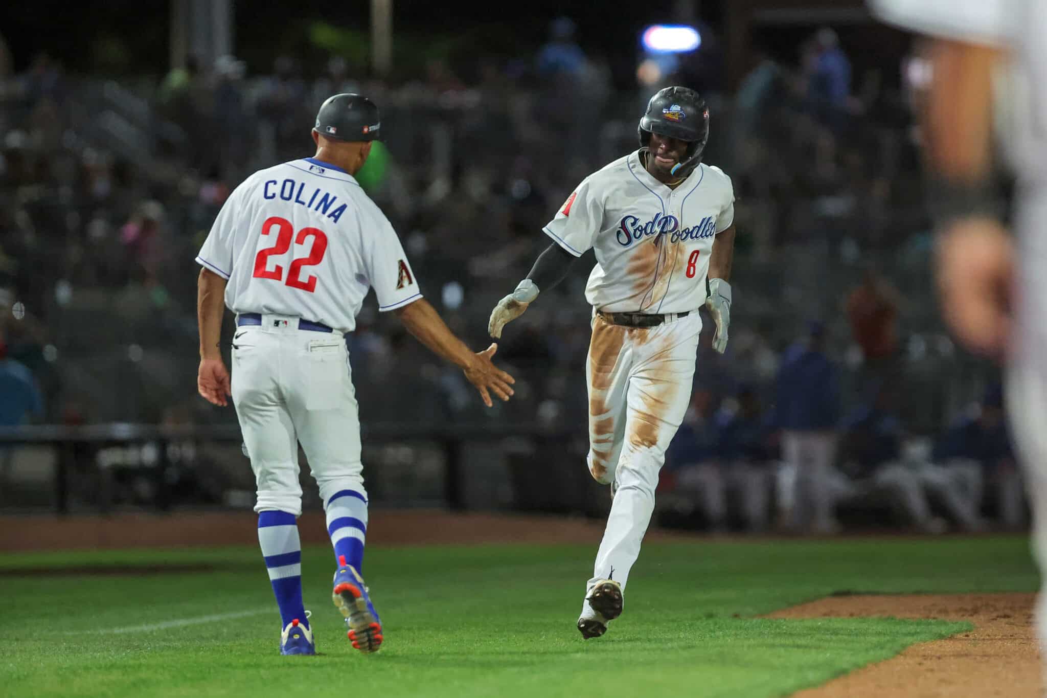 20250412-Springfield-SodPoodles-0068 | Press Pass Sports Amarillo Sod Poodles drop five of six to Springfield in first home series of 2025