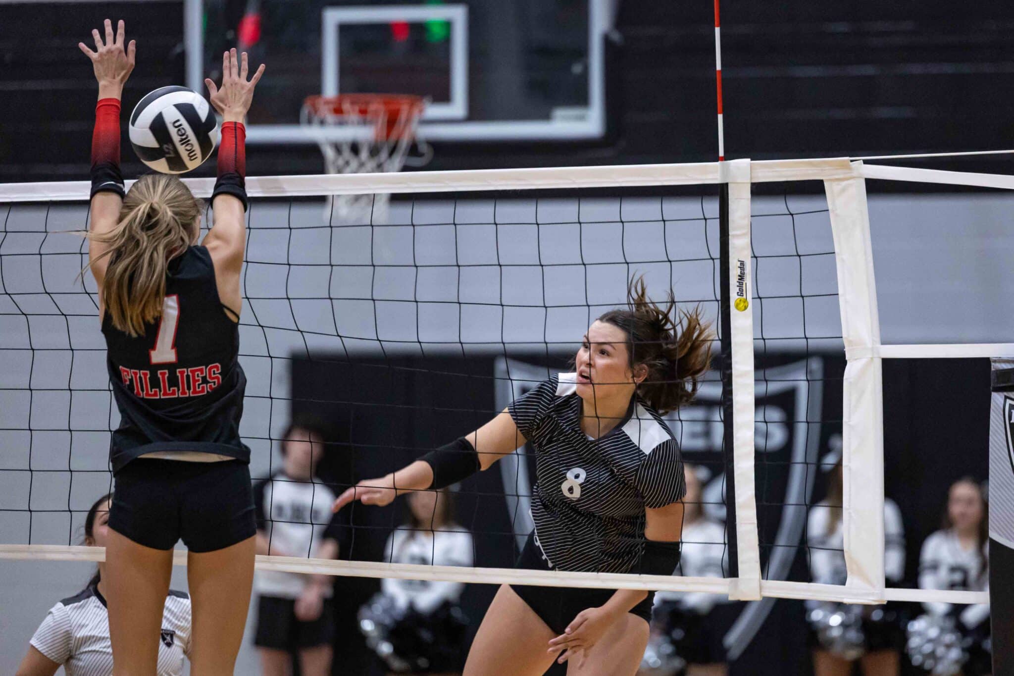 SHS-RHS-VB-25 | Press Pass Sports
