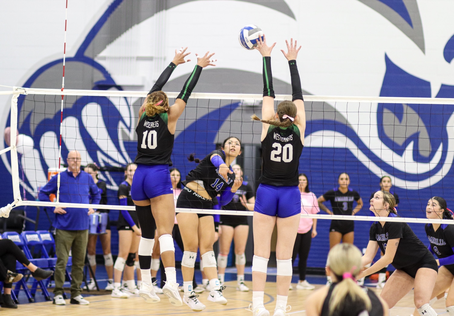 IMG_2886 | Press Pass Sports