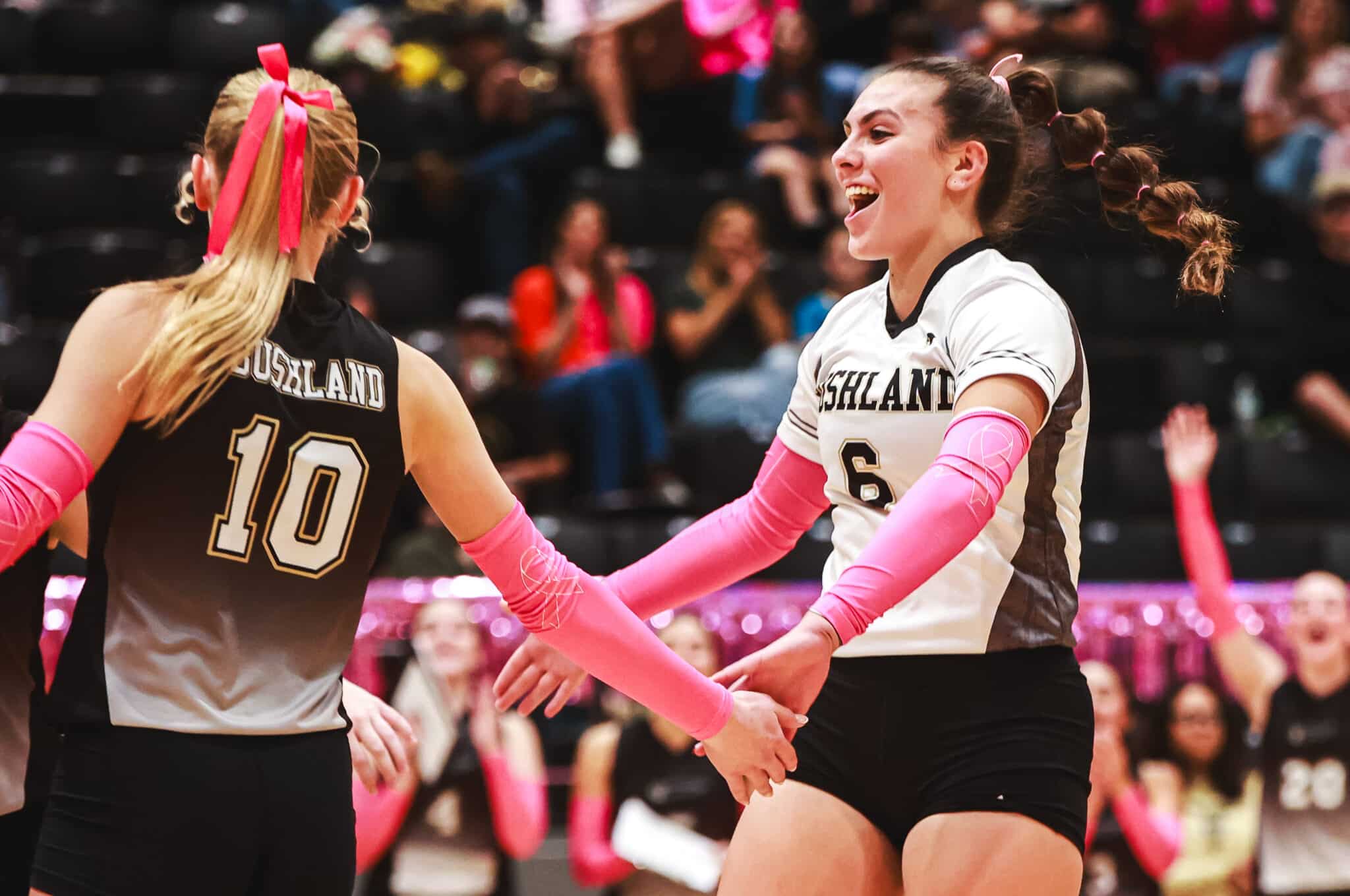 MY4A9307 | Press Pass Sports Bushland Lady Falcons captures 13th straight district title with sweep of Dalhart