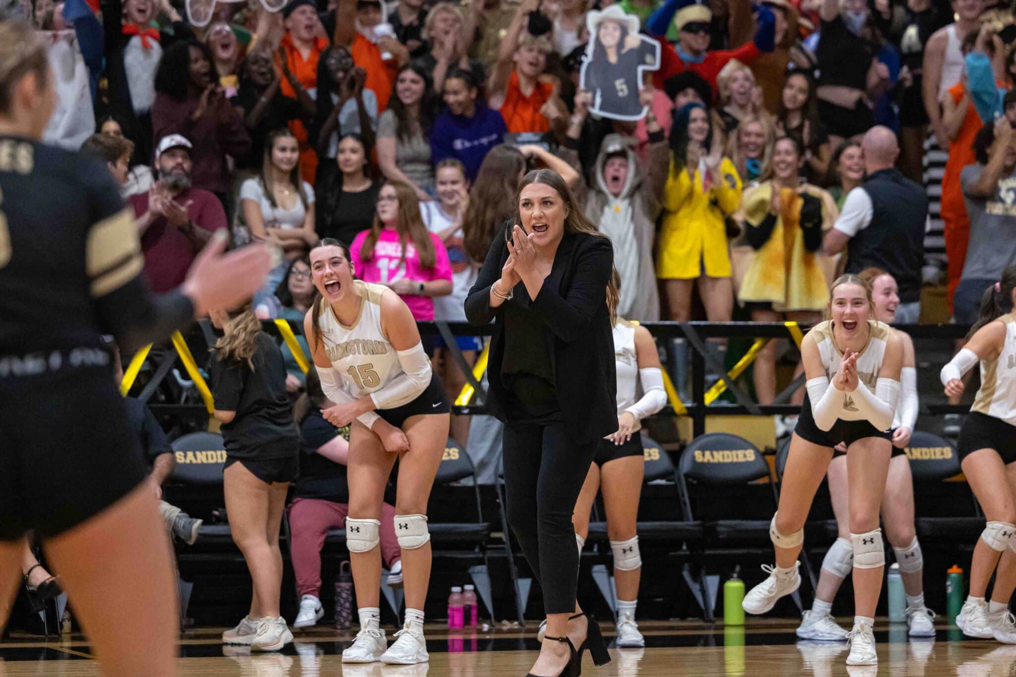 High School Volleyball Texas Panhandle and South Plains bi-district playoff pairings