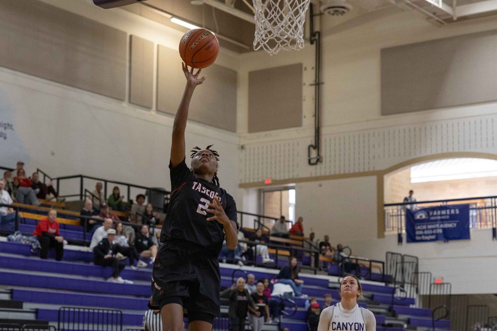 THS-CHS-GBB-16 | Press Pass Sports Tascosa Lady Rebels score another victory over host Canyon in Tatum Tough Tourney