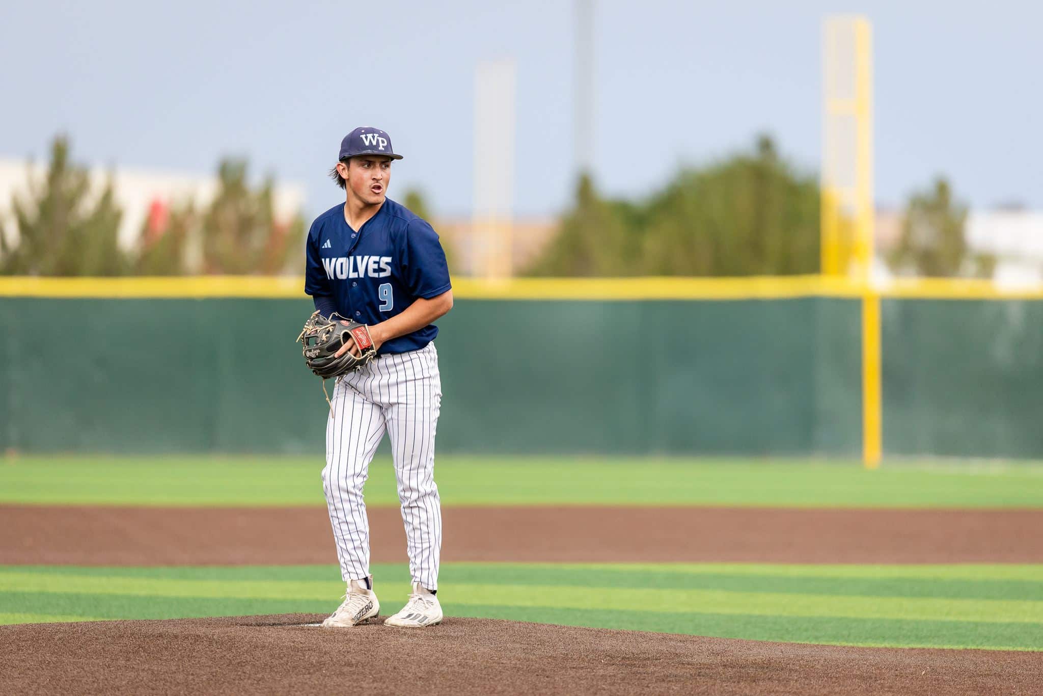 Baseball pitcher on the mound wearing a blue Wolves jersey and cap, preparing to pitch with glove in hand.