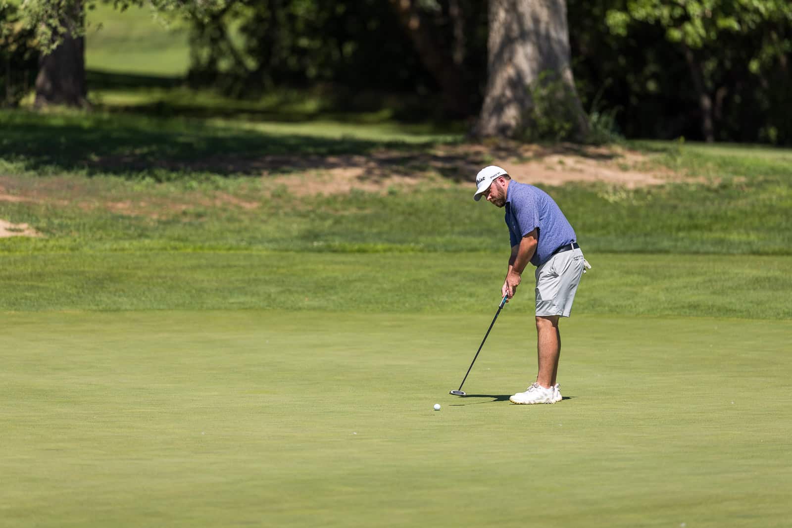 Male golfer in a blue polo and gray shorts puts on a green golf course, preparing for a putt.