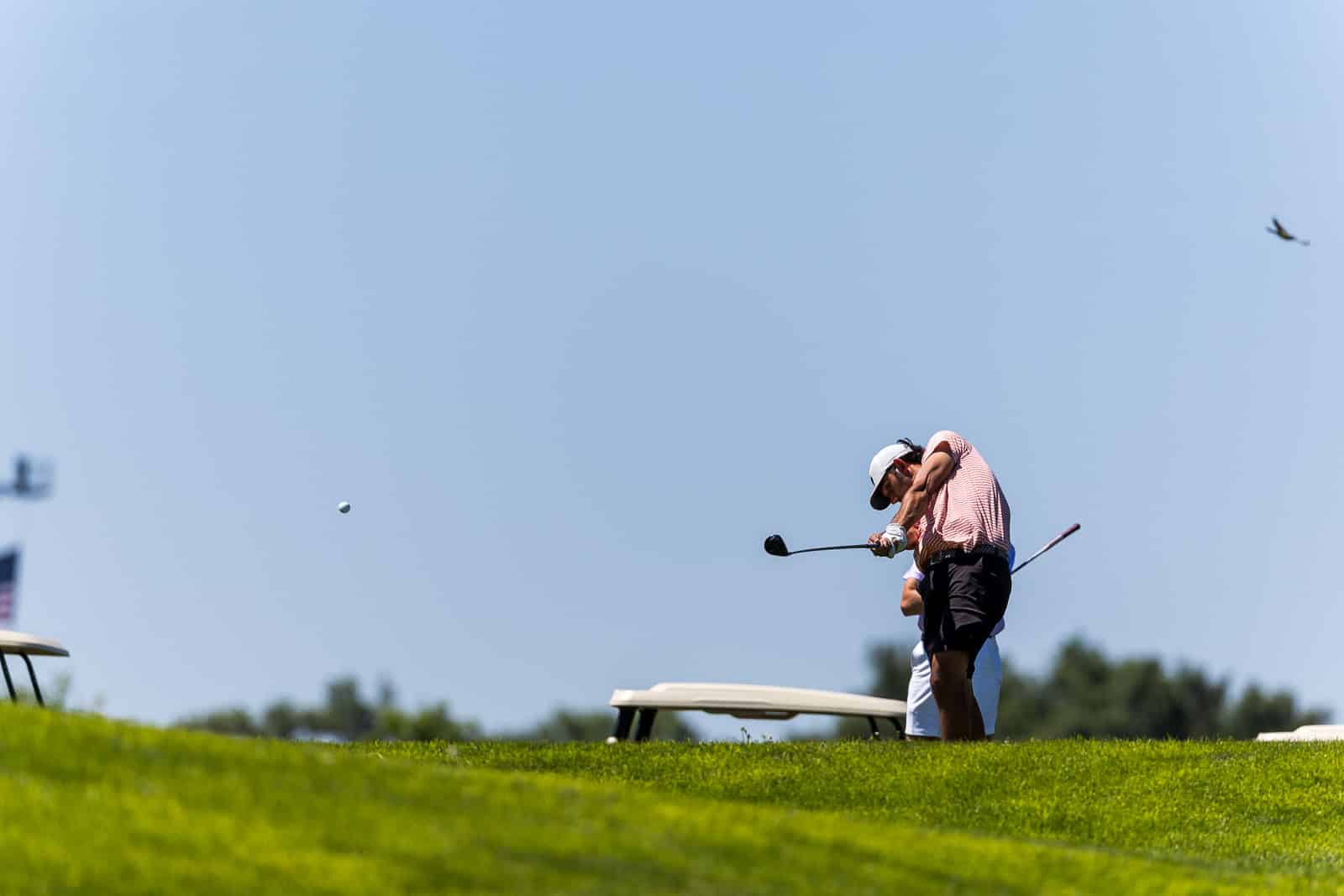 Two golfers on a sunny course watching a golf ball mid-flight after a swing on a grassy hill.