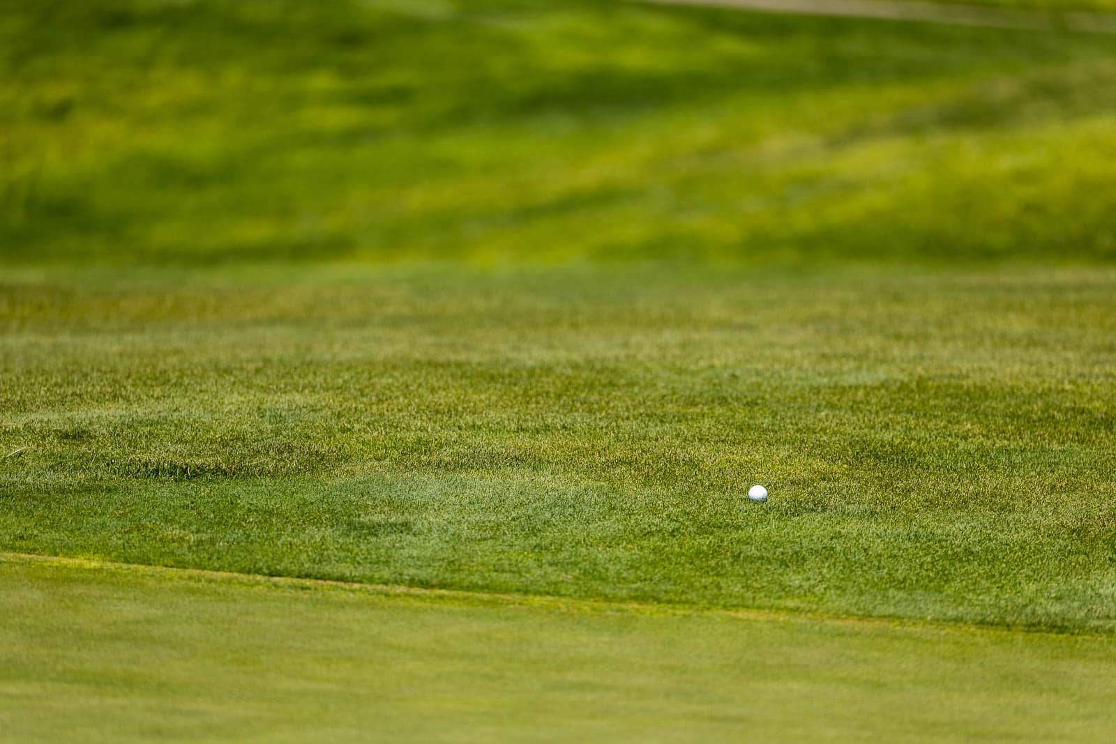 Golf ball resting on a well-manicured green, with a blurred grassy background.