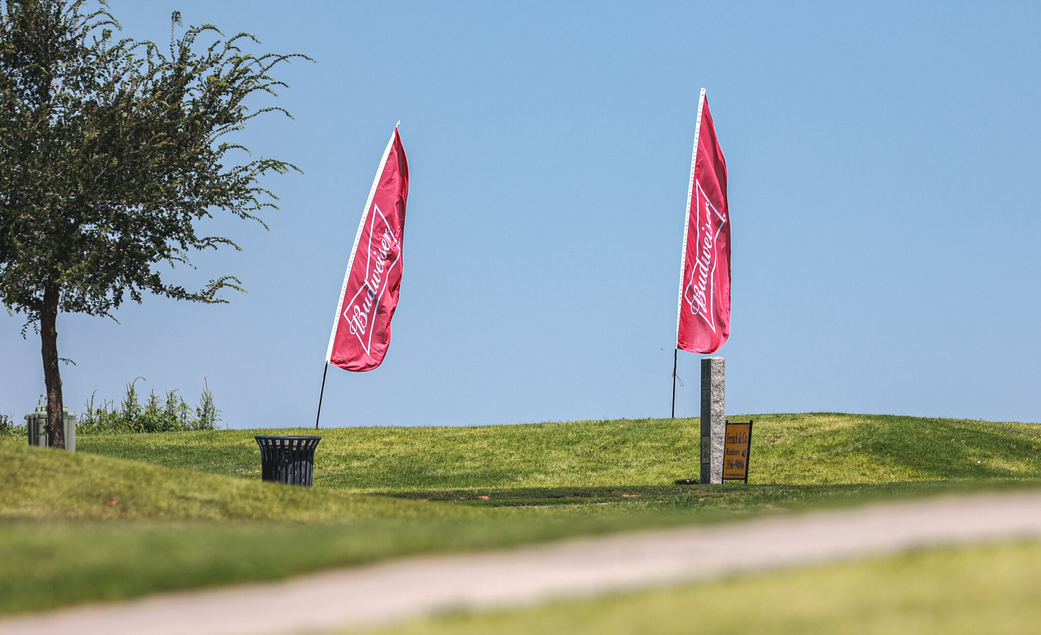 1H4A9735 | Press Pass Sports Two pink Budweiser banners planted in a grassy park under a clear blue sky, with a tree on the left and a bench in the foreground.