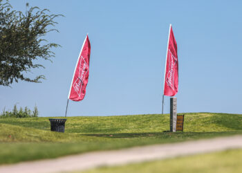 1H4A9735 | Press Pass Sports Two pink Budweiser banners planted in a grassy park under a clear blue sky, with a tree on the left and a bench in the foreground.