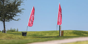 Two pink Budweiser banners planted in a grassy park under a clear blue sky, with a tree on the left and a bench in the foreground.
