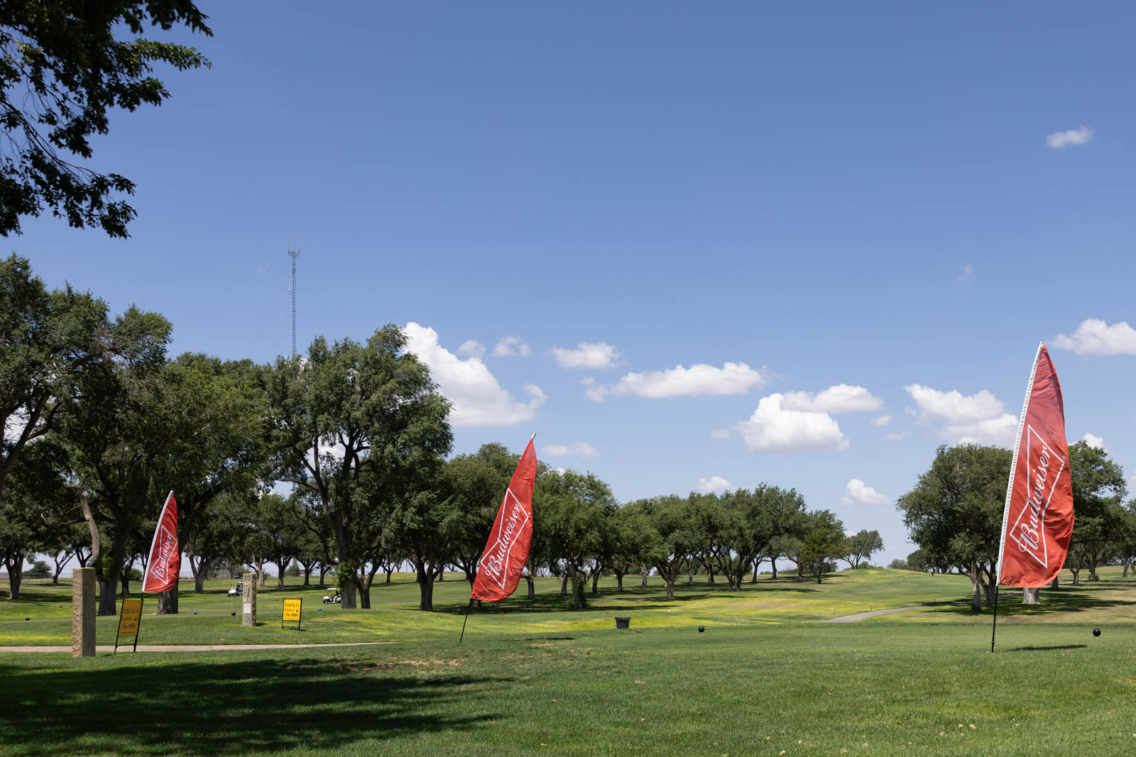 Park scene with green grass and a line of mature trees under a blue sky; two tall red Budweiser banners stand in the foreground.
