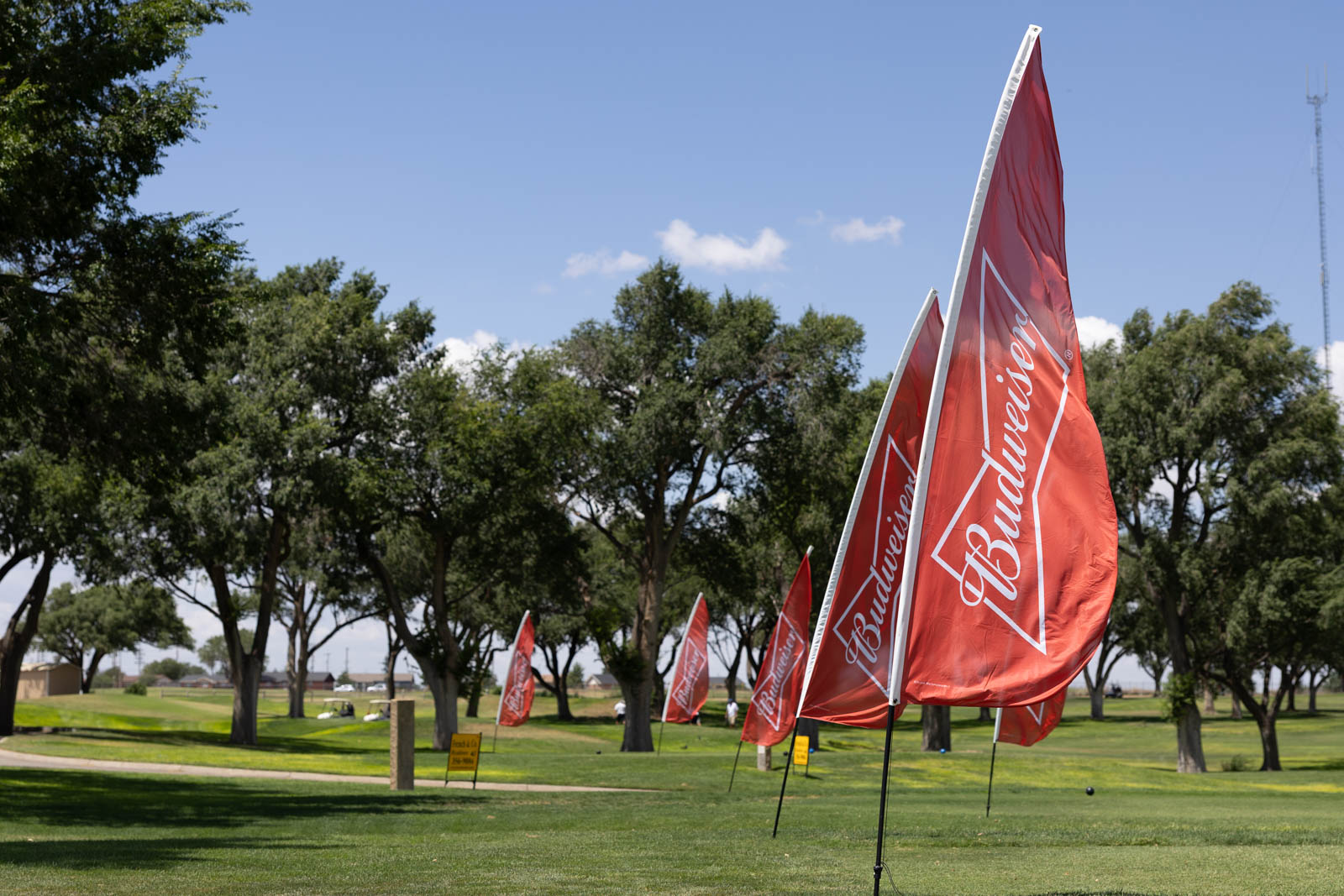 Red Budweiser flags lined up on a green lawn under a blue sky at a sunny outdoor event.