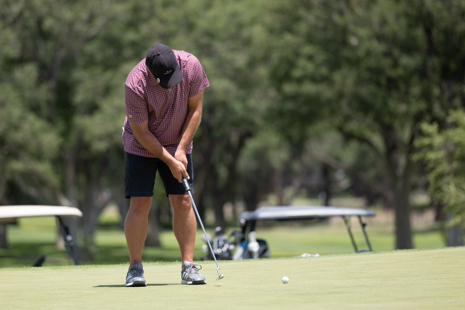 Man wearing a dark cap and pink patterned shirt lines up a putt on a green golf course.