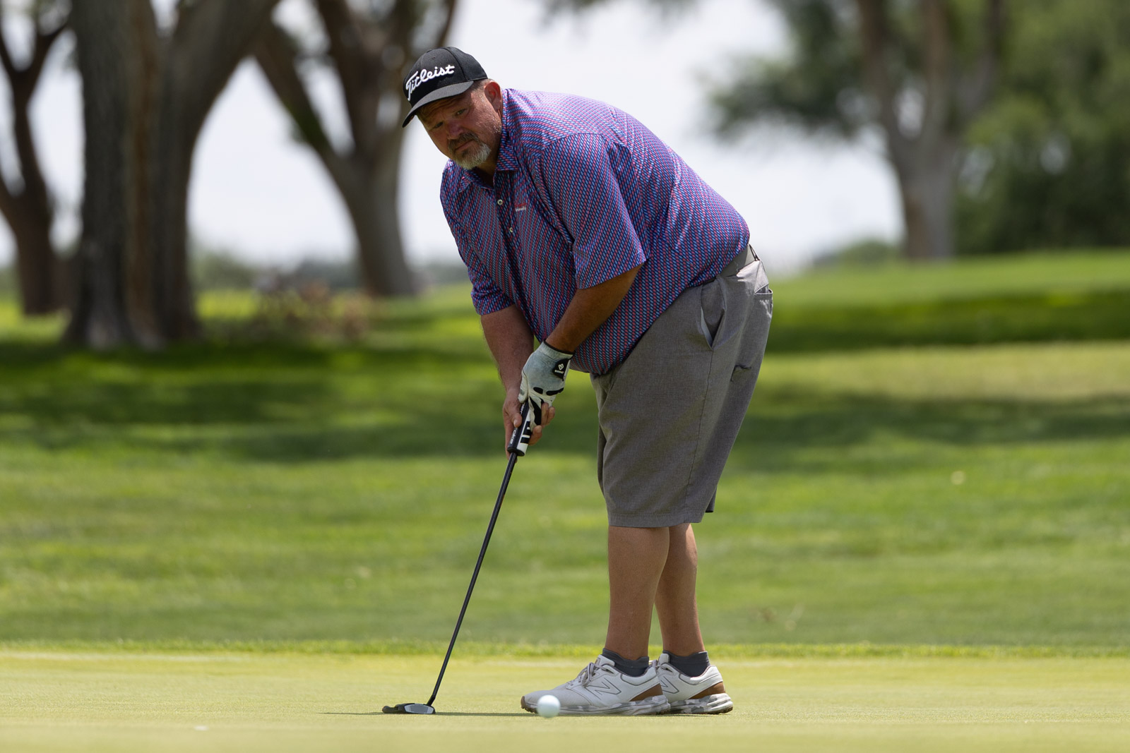 Man with a Titleist cap lines up a short putt on a sunny golf course, wearing a purple checkered shirt and gray shorts.
