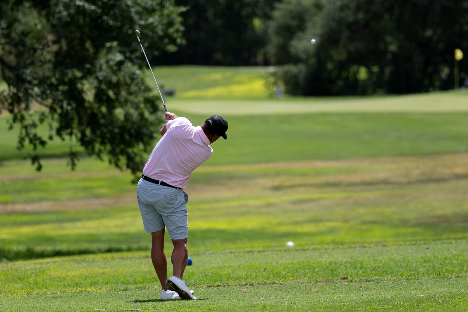 Golfer in a pink shirt and light shorts mid-swing on a lush golf course.