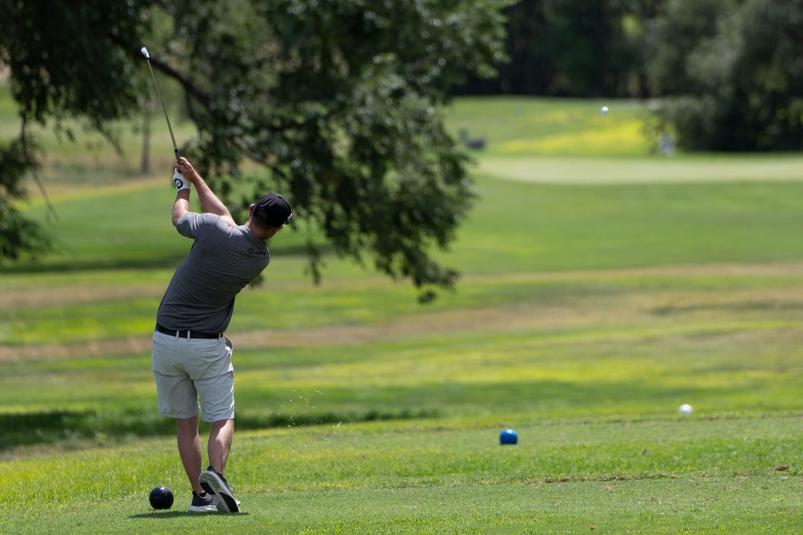 Golfer mid-swing on a lush golf course, wearing a gray shirt and white shorts, with a tree creating a shaded backdrop.