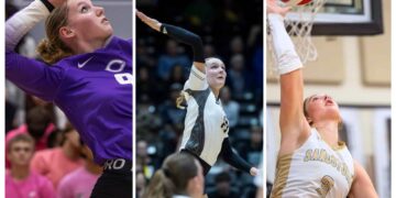 Three-panel collage of indoor volleyball players in action: left player in purple spikes the ball, middle player reaches up mid-air, right player near the net prepares a hit.