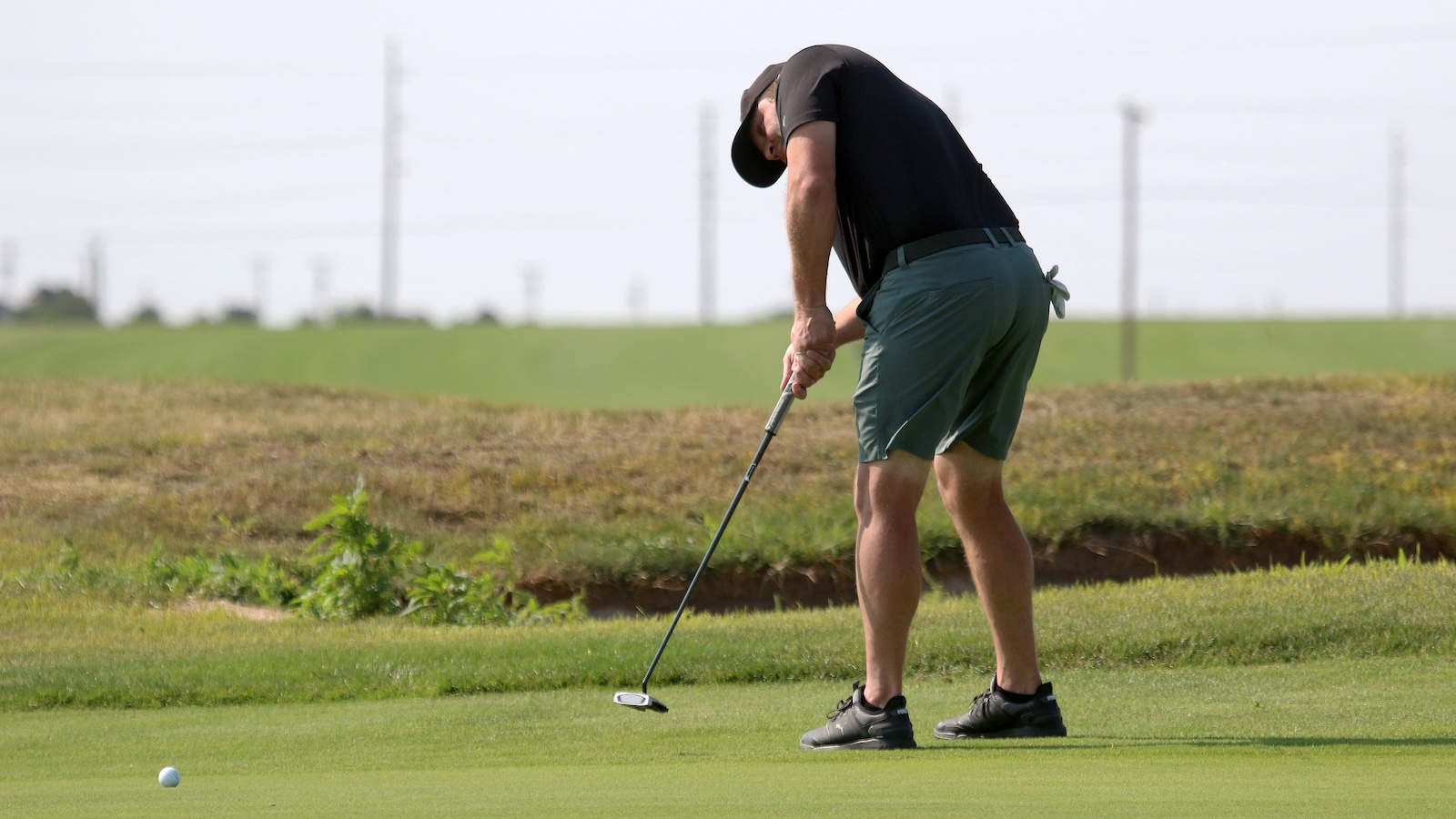 Man in a black polo and green shorts putting on a golf green, bending over with a putter ready to strike the ball