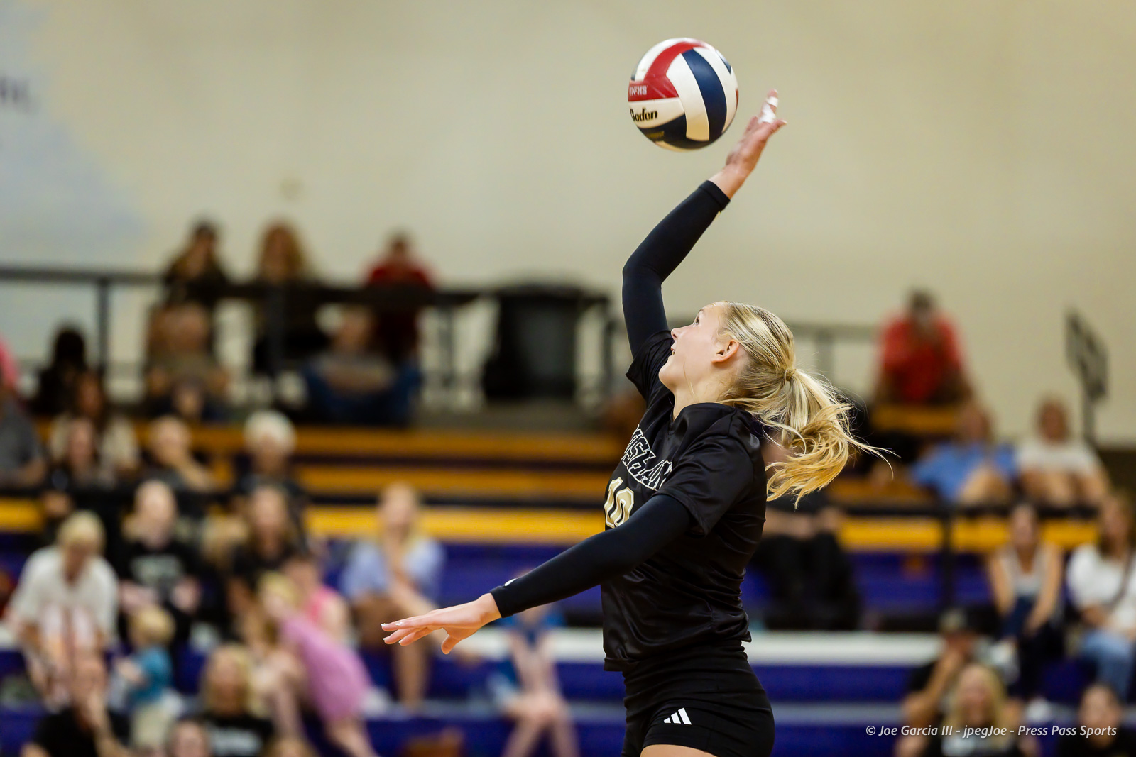 Female volleyball player in a black uniform serves a ball in a crowded gymnasium.