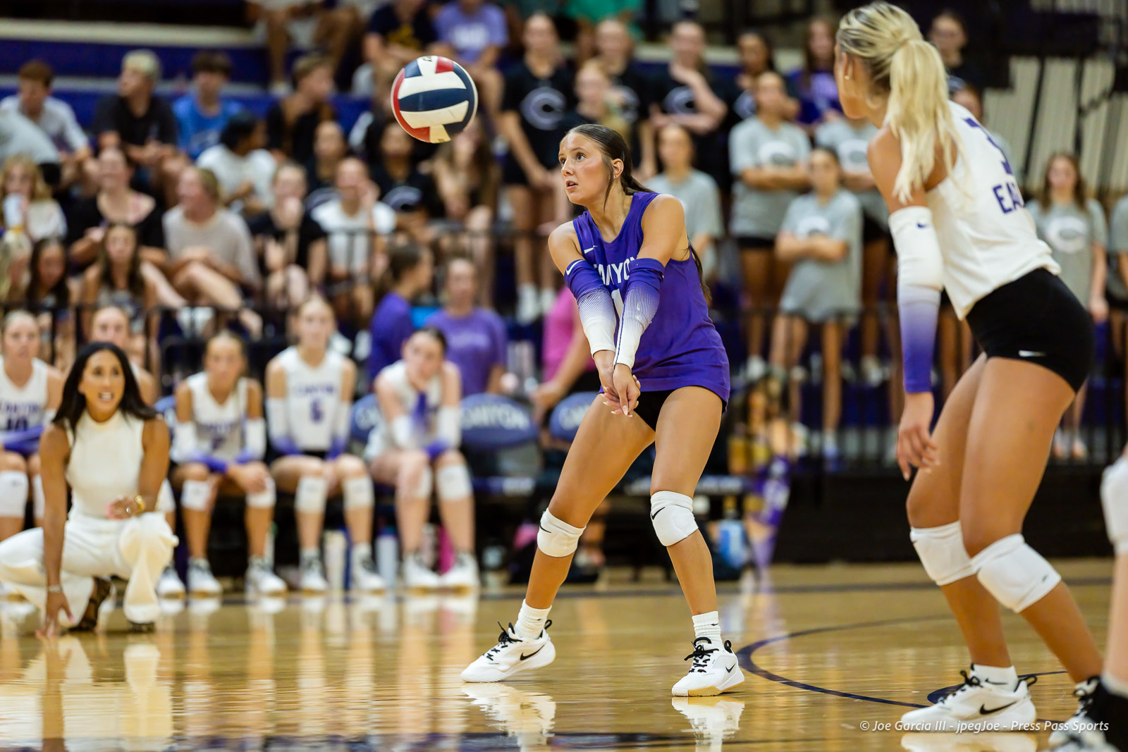Female volleyball player in purple dives to receive the ball as the crowd watches.