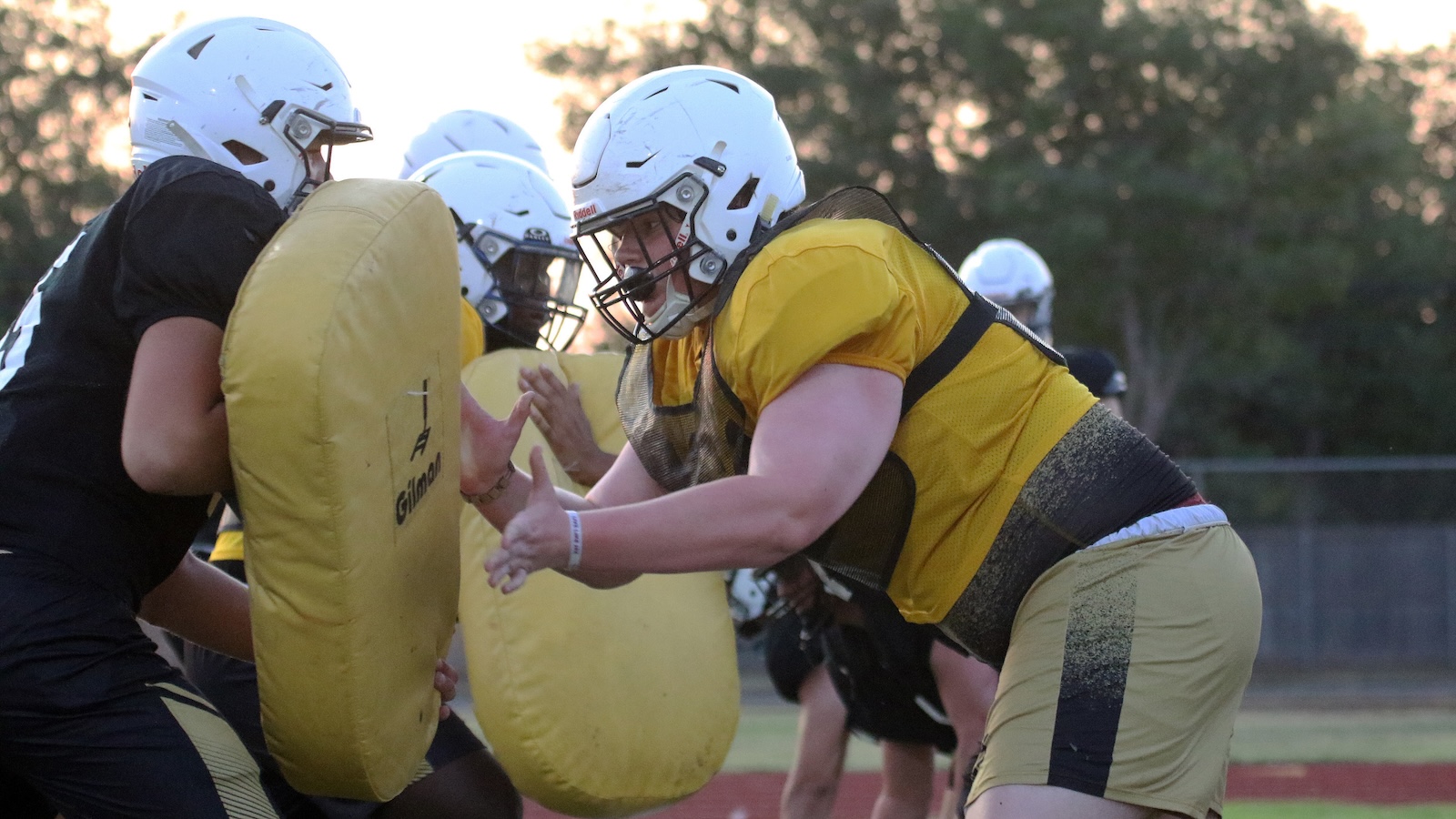 Football players in yellow jerseys and white helmets practice blocking with yellow shields on a field during a drill.