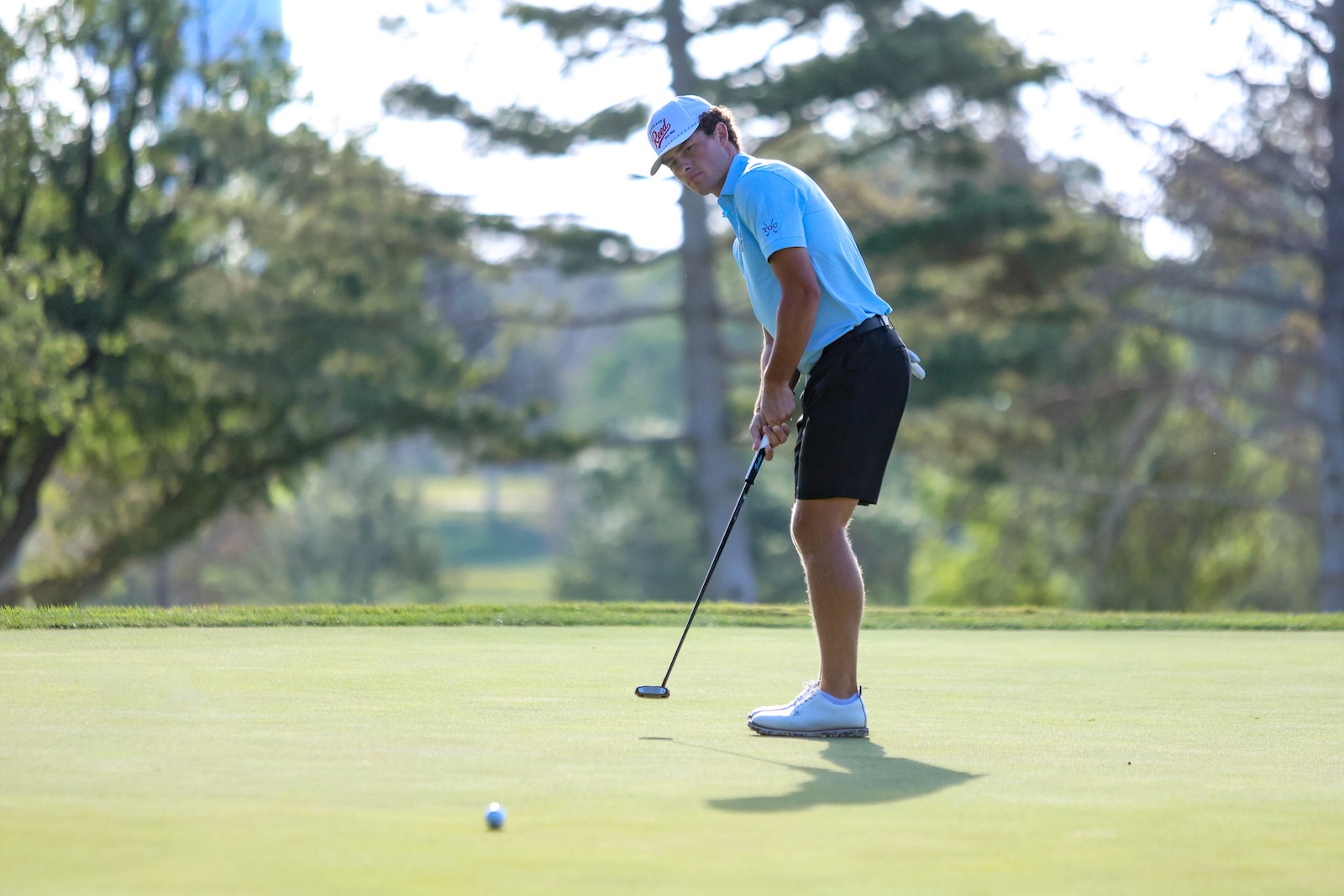 Male golfer in light blue polo and cap preparing to putt on a green fairway with a putter in hand.