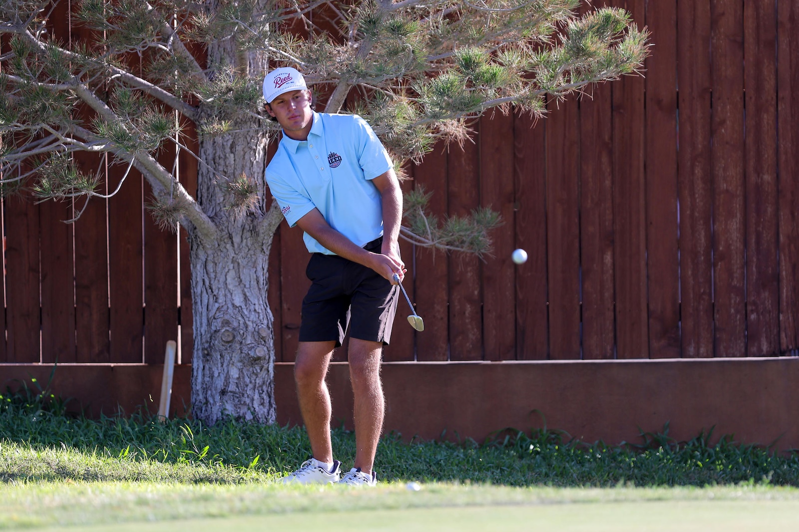 Male golfer in light blue polo and white cap, mid-swing, watching a golf ball off the club on a sunny course with a wooden fence in the background.