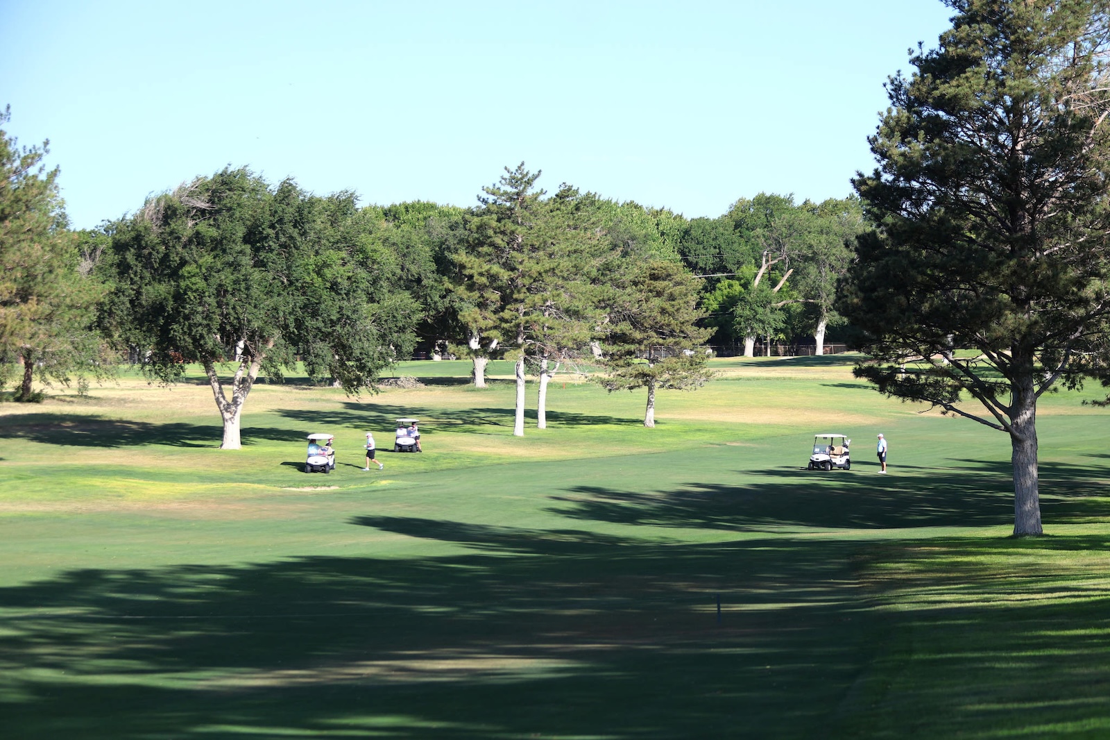 Golf course scene with players and golf carts among trees on a sunny day.