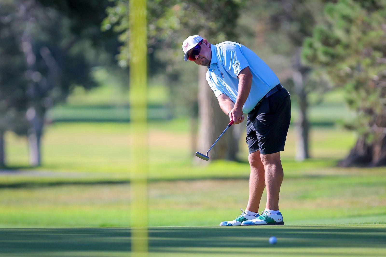 Golfer wearing a blue polo and cap prepares a putt on the green, focused on the ball nearby.
