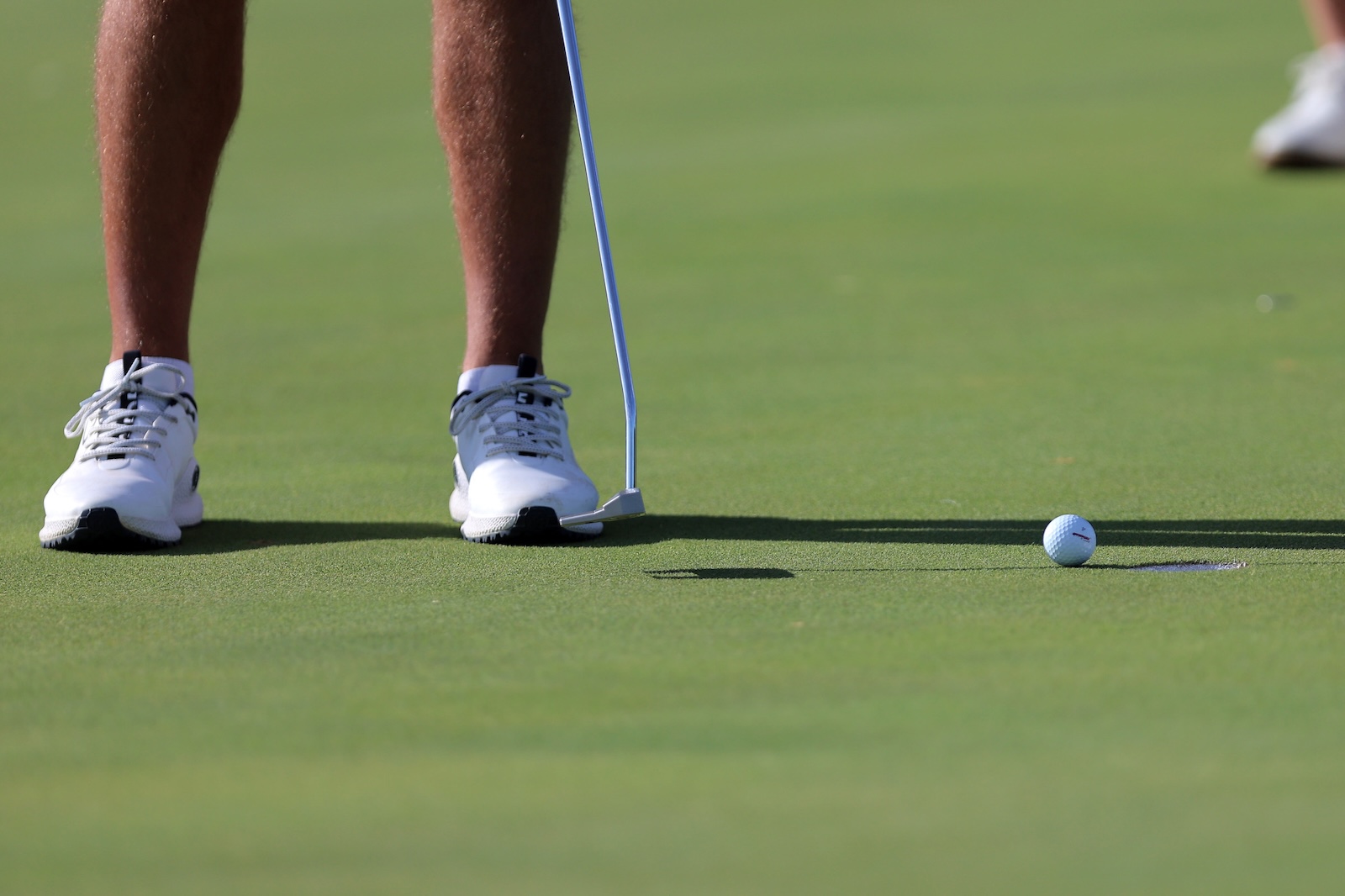 Golfer's white shoes and putter near a golf ball on the green during a putt.