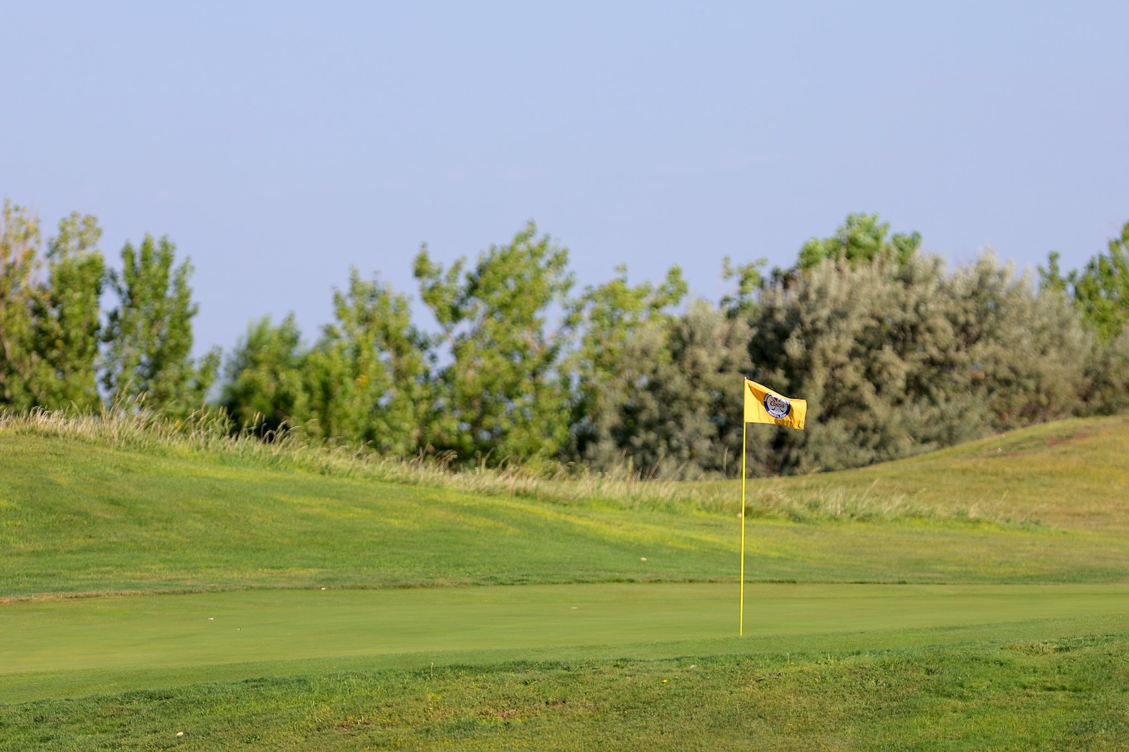 Golf green with a yellow flagstick and hole, gently sloped grass and trees in the background.