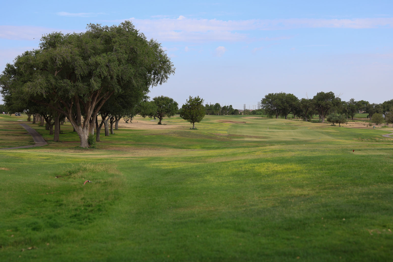 CoorTOC_FinalDay-4 | Press Pass Sports A wide view of a golf course with a row of large trees on the left, green fairways, and a blue sky.",