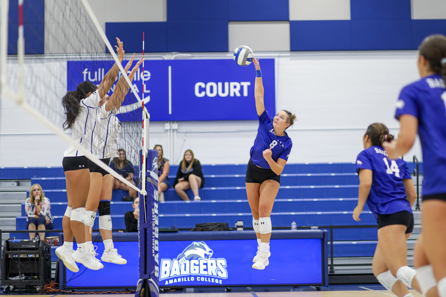 VB 2 | Press Pass Sports Blue-jersey volleyball player spikes the ball over the net as blockers jump to defend; court sign reading COURT visible behind them.