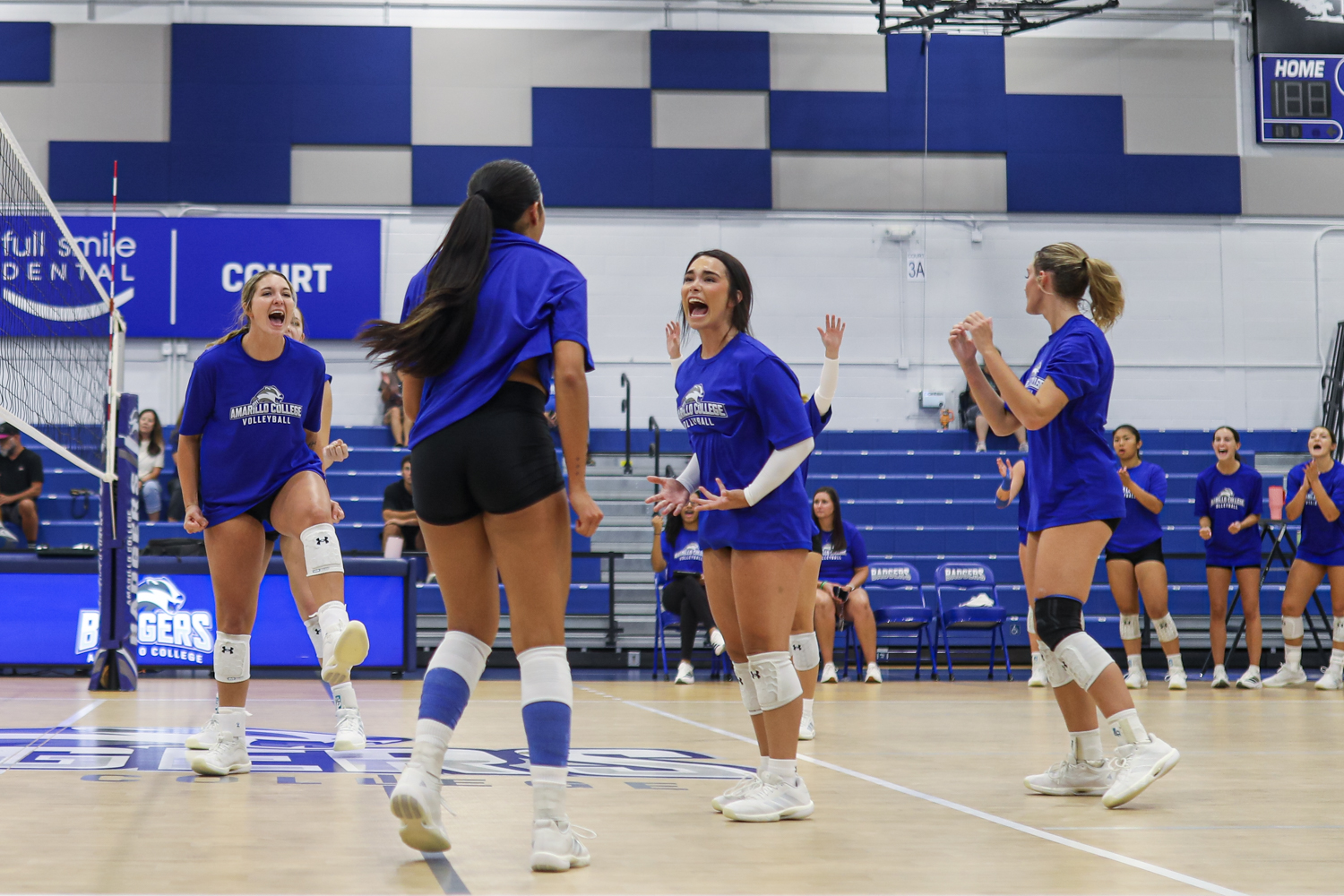 VB 6 | Press Pass Sports Women’s college volleyball team in blue jerseys celebrate on an indoor court, high-fiving and cheering near the net.