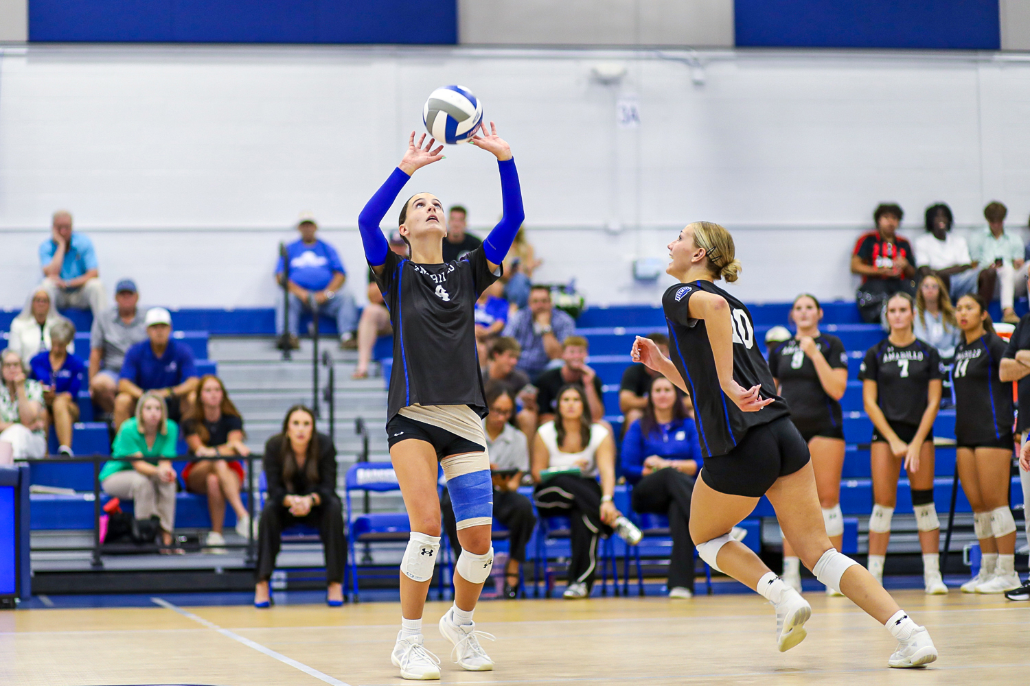 HM 1 | Press Pass Sports Volleyball players in black uniforms at net, one setter raising the ball for a teammate as spectators watch from blue bleachers.