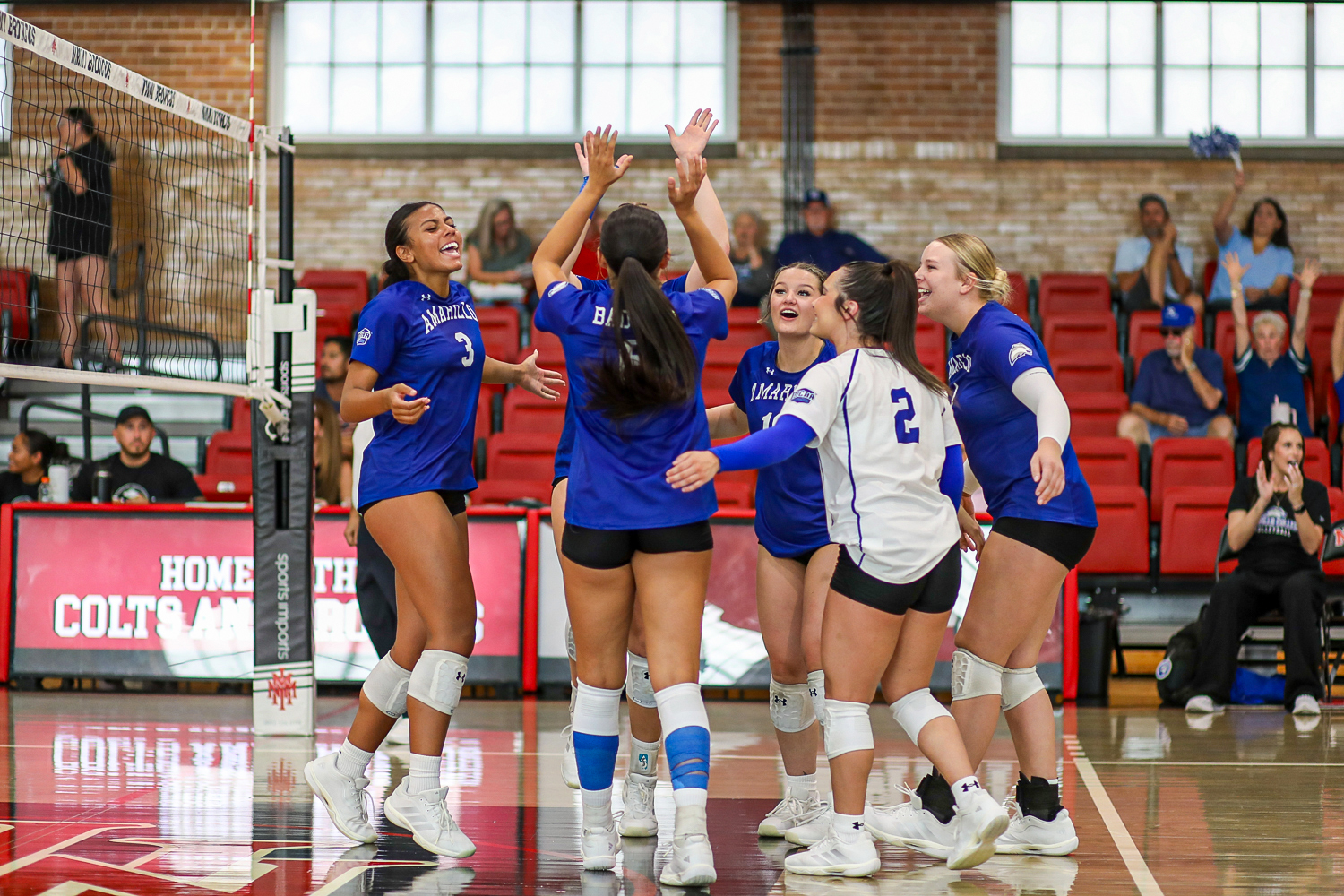 NMMI 1 | Press Pass Sports Female volleyball players in blue uniforms celebrate with high fives and hugs on an indoor court near the net.