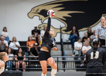 dumas-vs-bushland-volleyball-jpegJoe-pps-10 | Press Pass Sports Female volleyball player in black uniform jumps to spike the ball during a match, spectators in bleachers behind her.