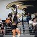 Female volleyball player in black uniform jumps to spike the ball during a match, spectators in bleachers behind her.