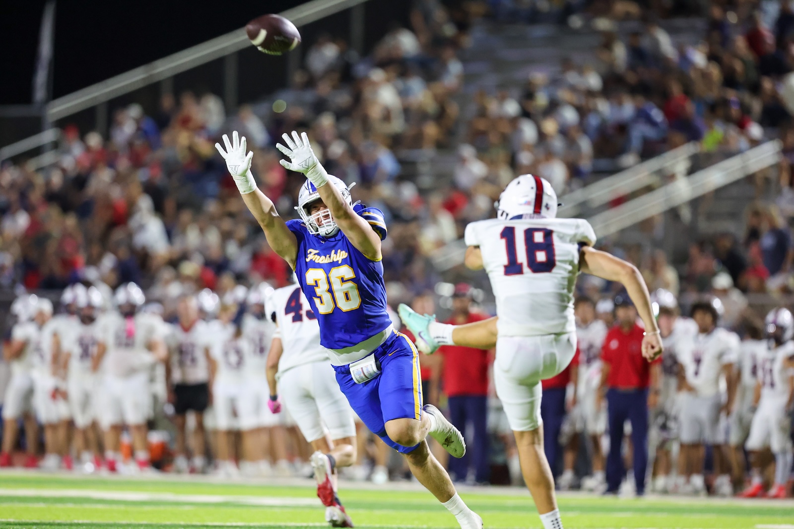 Seabolt Chase-18615 | Press Pass Sports Football player in blue jersey #36 leaps with arms raised to catch a pass as the ball sails overhead, defenders in white nearby and a packed stadium in the background.