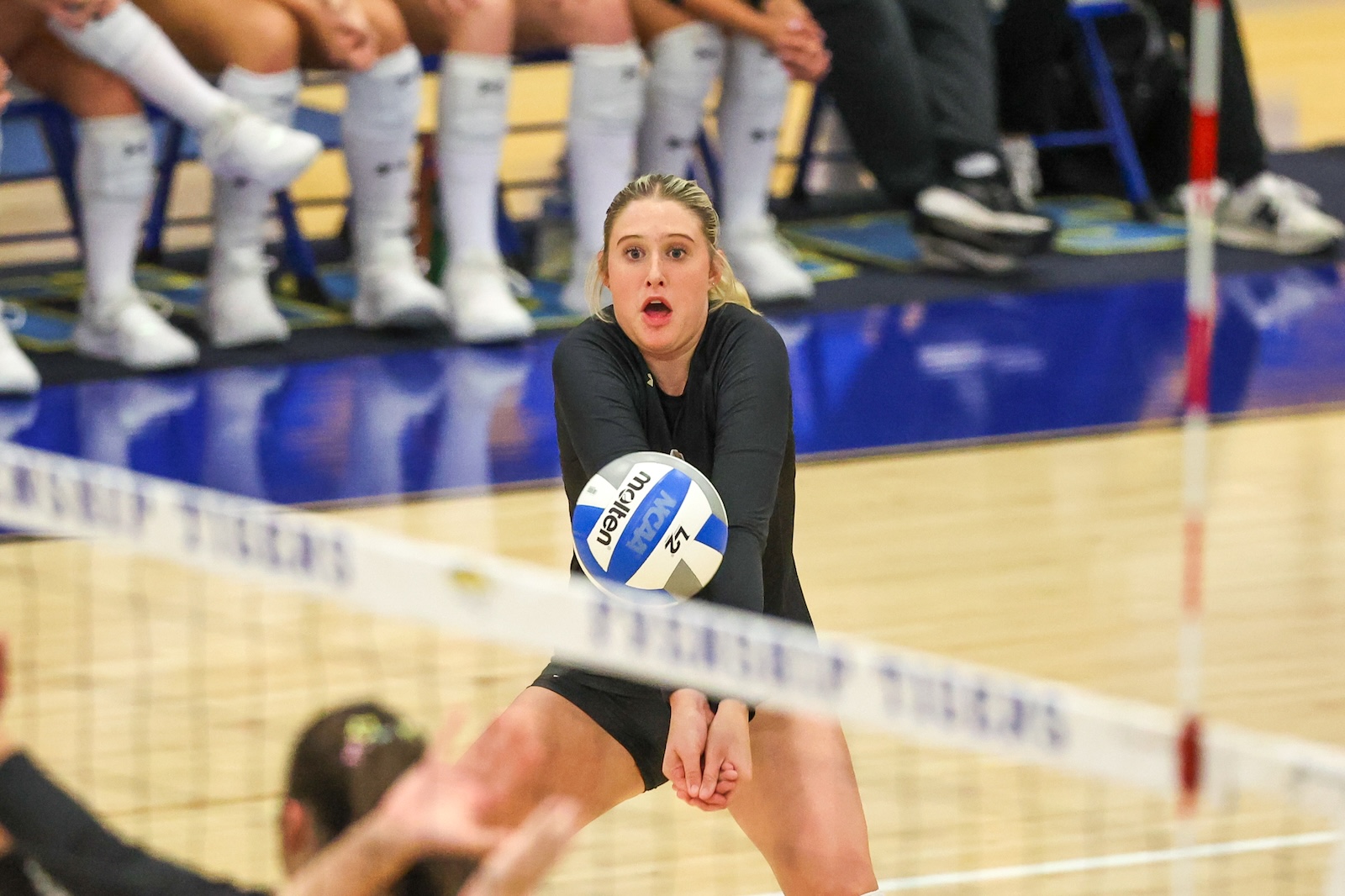 Seabolt Chase-12030 | Press Pass Sports Female volleyball player in black dives forward to dig a blue-white Mikasa ball near the net during a match.