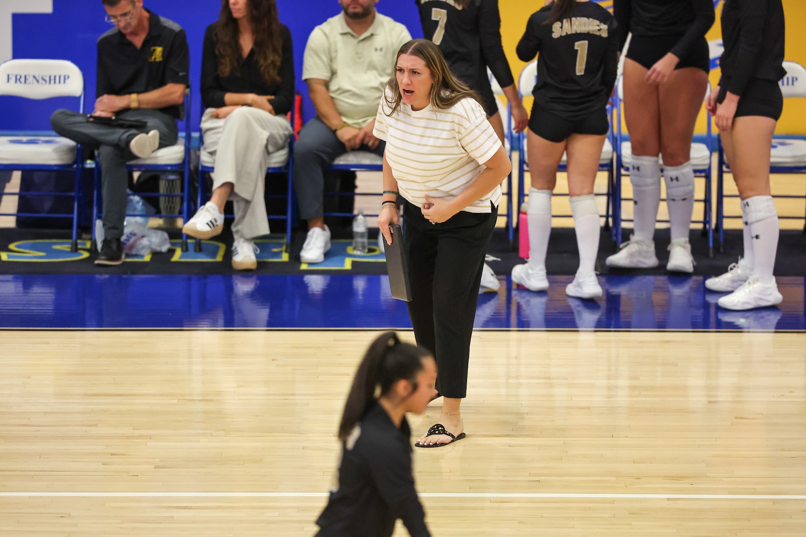 Seabolt Chase-12370 | Press Pass Sports Coach on a gym floor shouting, clipboard in hand, during a volleyball game with players seated on the bench behind her.