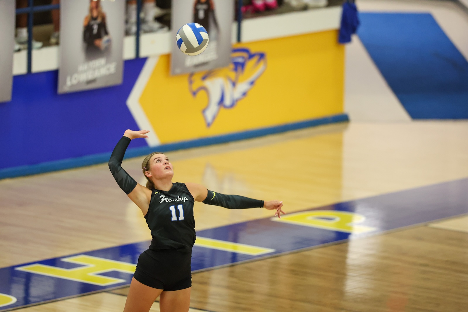 Seabolt Chase-12437 | Press Pass Sports Female volleyball player in a black jersey with number 11 reaching up to contact the ball in a gym.