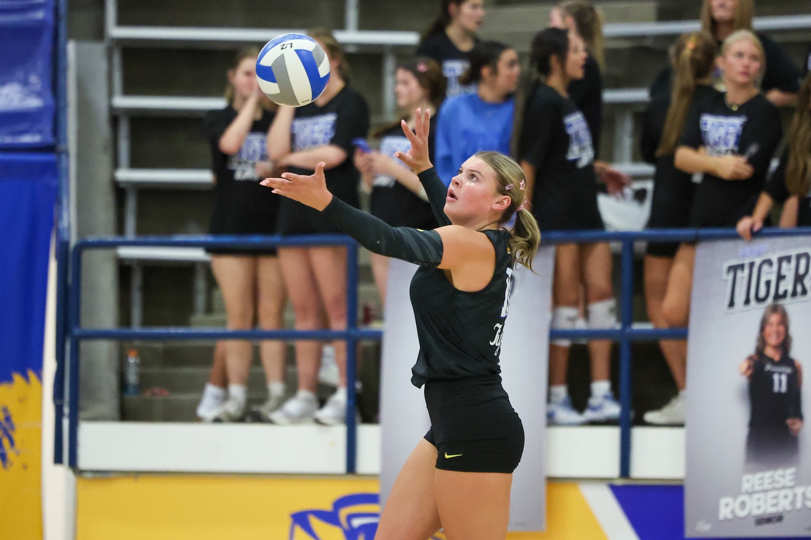 Seabolt Chase-26148 | Press Pass Sports Female volleyball player in a black uniform serves the ball in a gym, with spectators watching from the stands behind a railing.