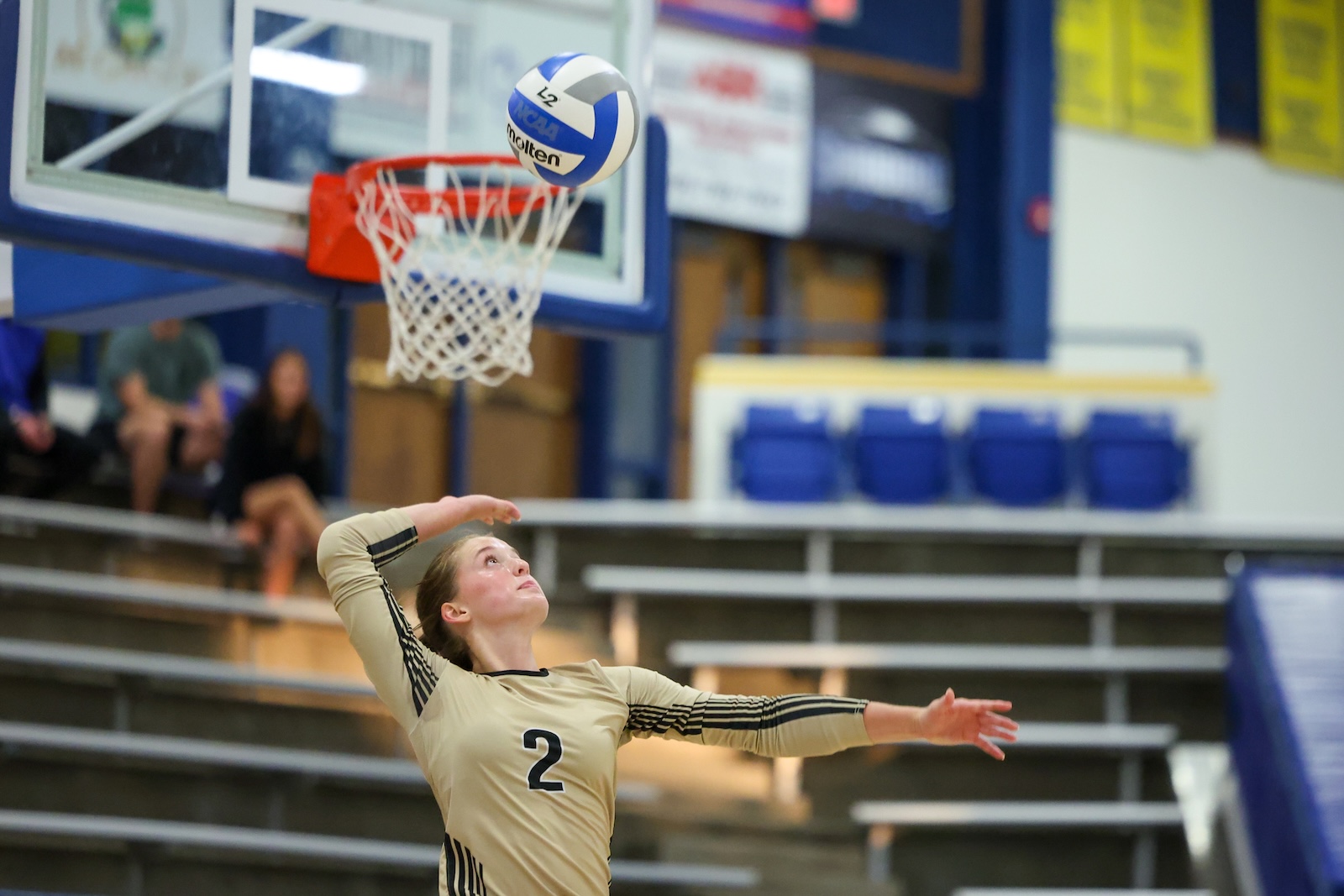 Seabolt Chase-26302 | Press Pass Sports Female volleyball player wearing number 2 beige jersey spikes the ball in a gym, with blurred bleachers in the background.