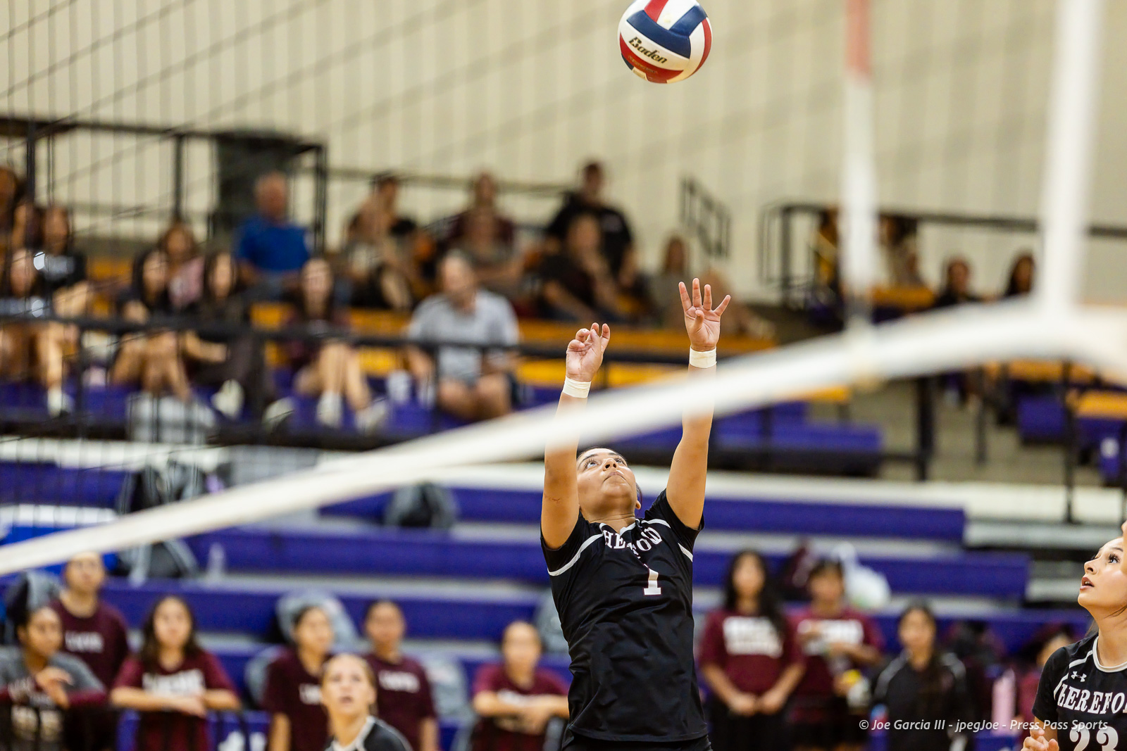 herford-vs-canyon-volleyball-jpegJoe-pps-8 | Press Pass Sports Female volleyball player in a black jersey reaches up to set the ball near the net, with a gymnasium and cheering spectators in the background.