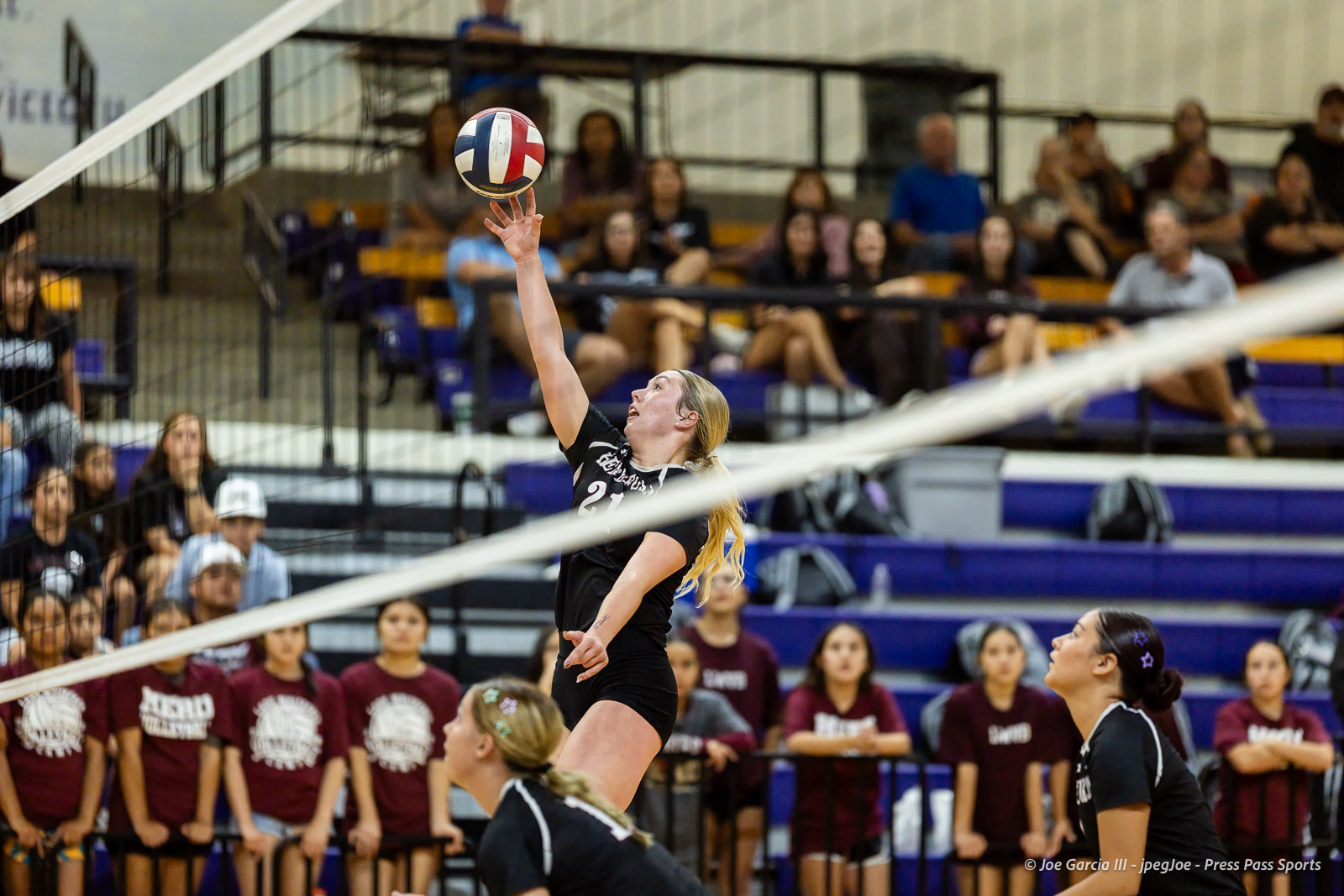 herford-vs-canyon-volleyball-jpegJoe-pps-11 | Press Pass Sports Female volleyball player in a black jersey leaps to strike the ball over the net, with a gym audience in the background.