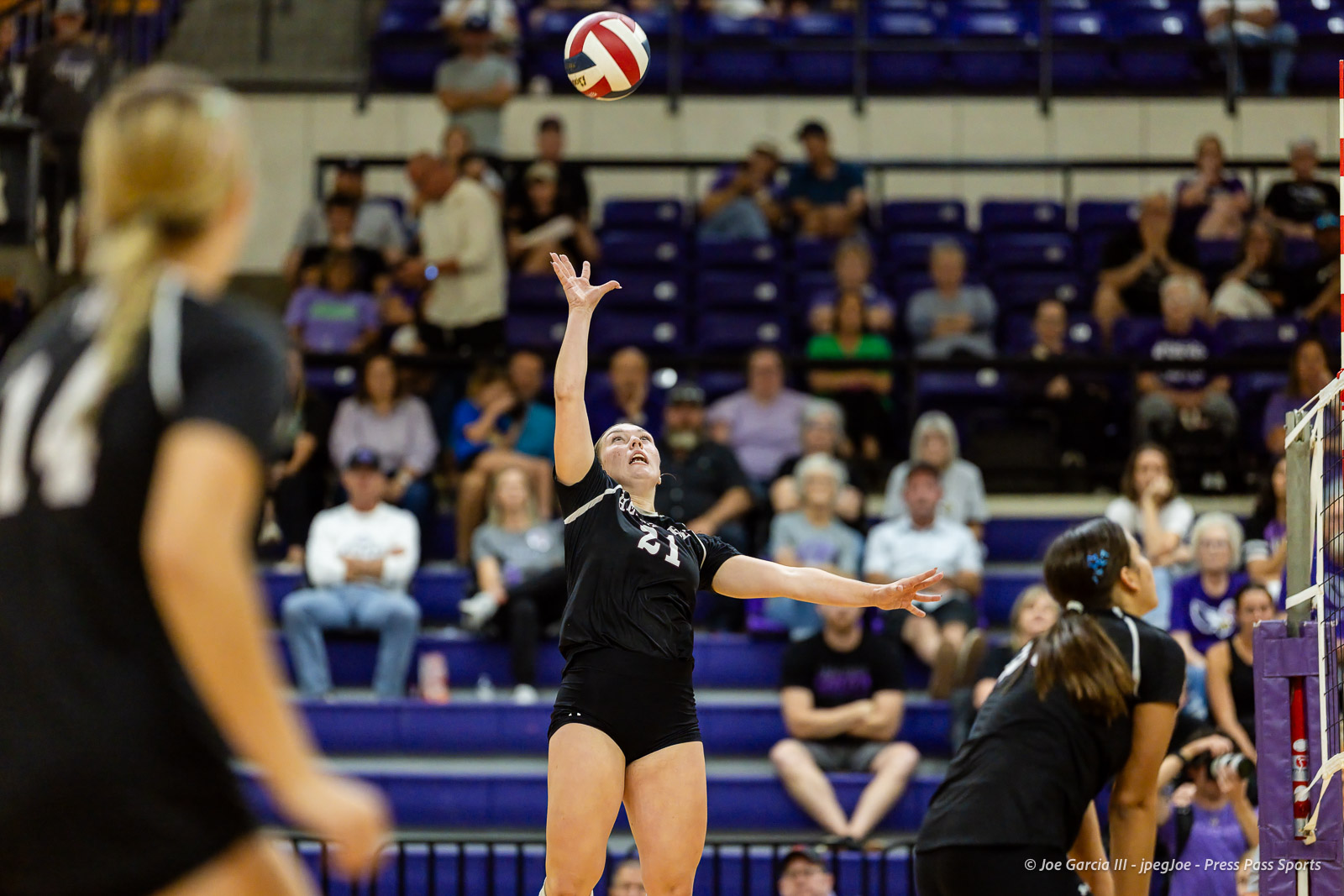 herford-vs-canyon-volleyball-jpegJoe-pps-15 | Press Pass Sports Female volleyball player wearing black with number 21 jumps to contact the ball above the net as a crowd watches from the stands.