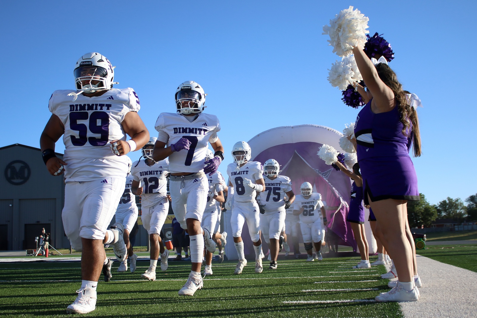 Dimmit football players in white uniforms rush onto the artificial turf as cheerleaders in purple cheer from the sideline under a clear blue sky.